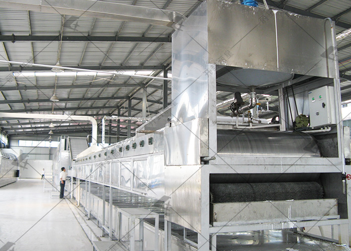 粉條加工設備升級需要考慮哪些因素？